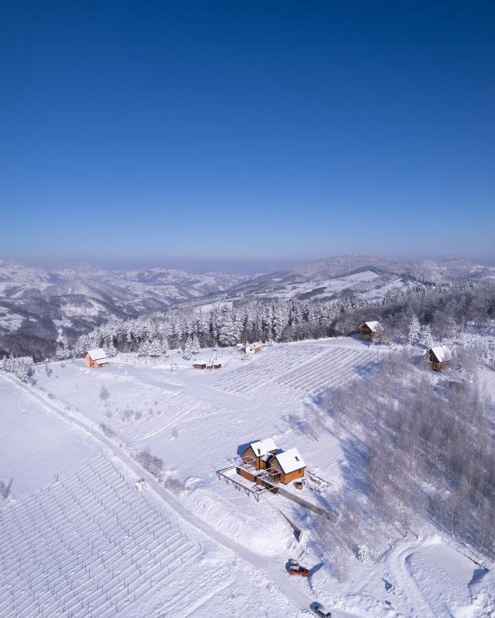 Cortina Resort Ivanjica Extérieur photo